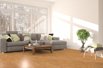 Amorim wise traces spice sfeer