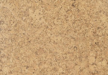 Cork go ambition gb06002