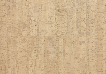 Cork go charm gb01003 ii