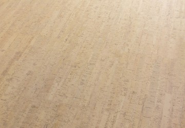 Cork go charm gb01003 iii