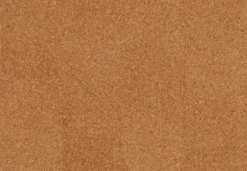 Cork go moment ga01002